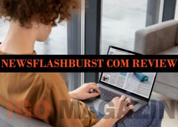 Newsflashburst Com Review