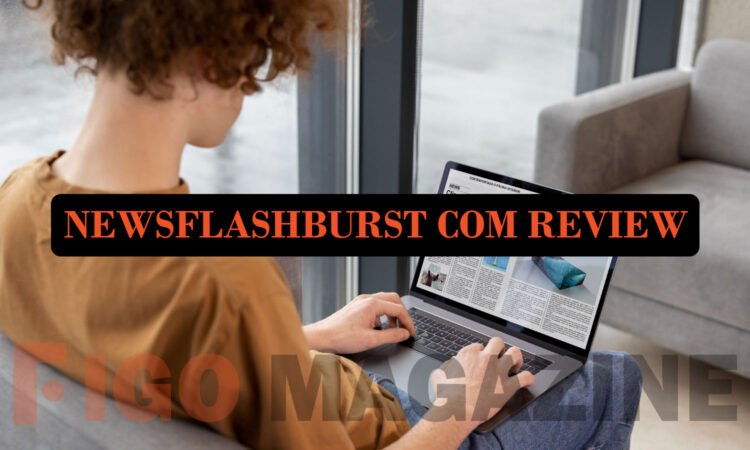 Newsflashburst Com Review