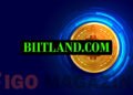 Biitland.com