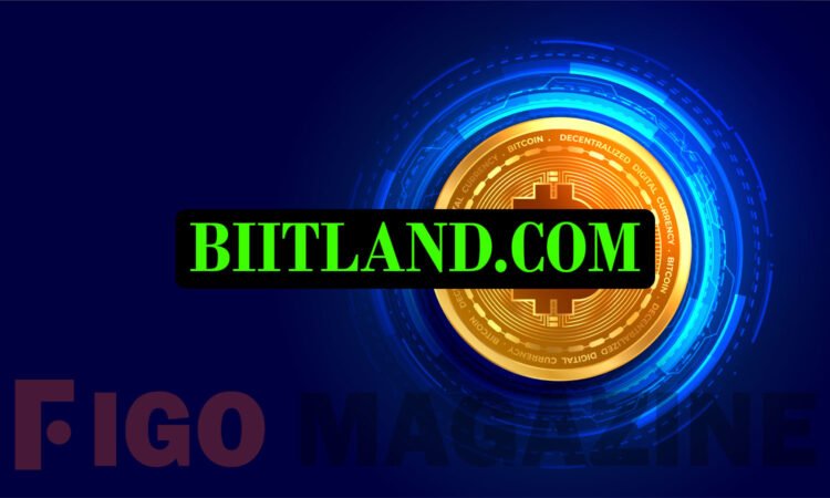 Biitland.com