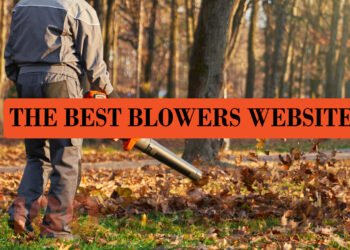 The Best Blowers Website