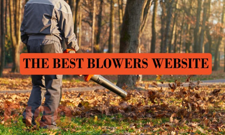 The Best Blowers Website