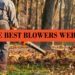 The Best Blowers Website